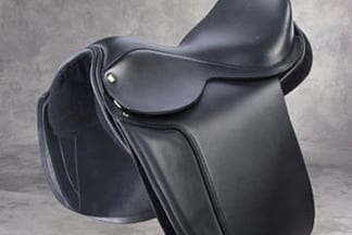 dressage-black2