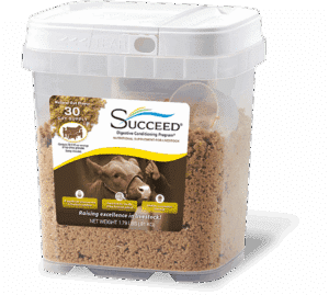 SUCCEED® Livestock Granular (Case)