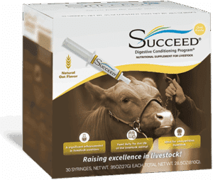 SUCCEED® Livestock Oral Paste (Case)